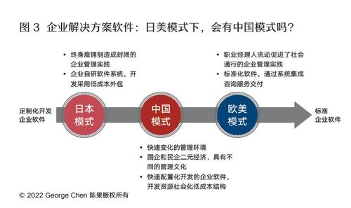 中國模式 企業管理軟件的突圍、融合與超越